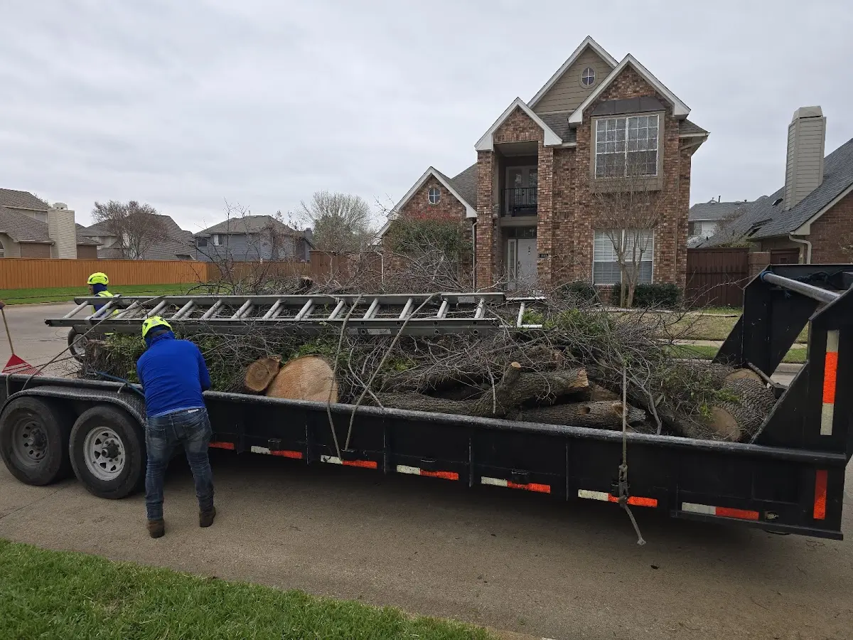 Expert Tree Fertilization with proper safety equipment in Fontana